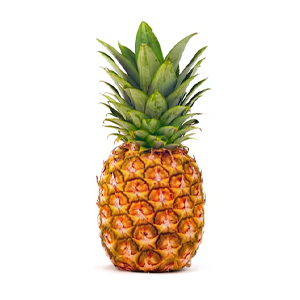 Normal small and medium sized pineapples